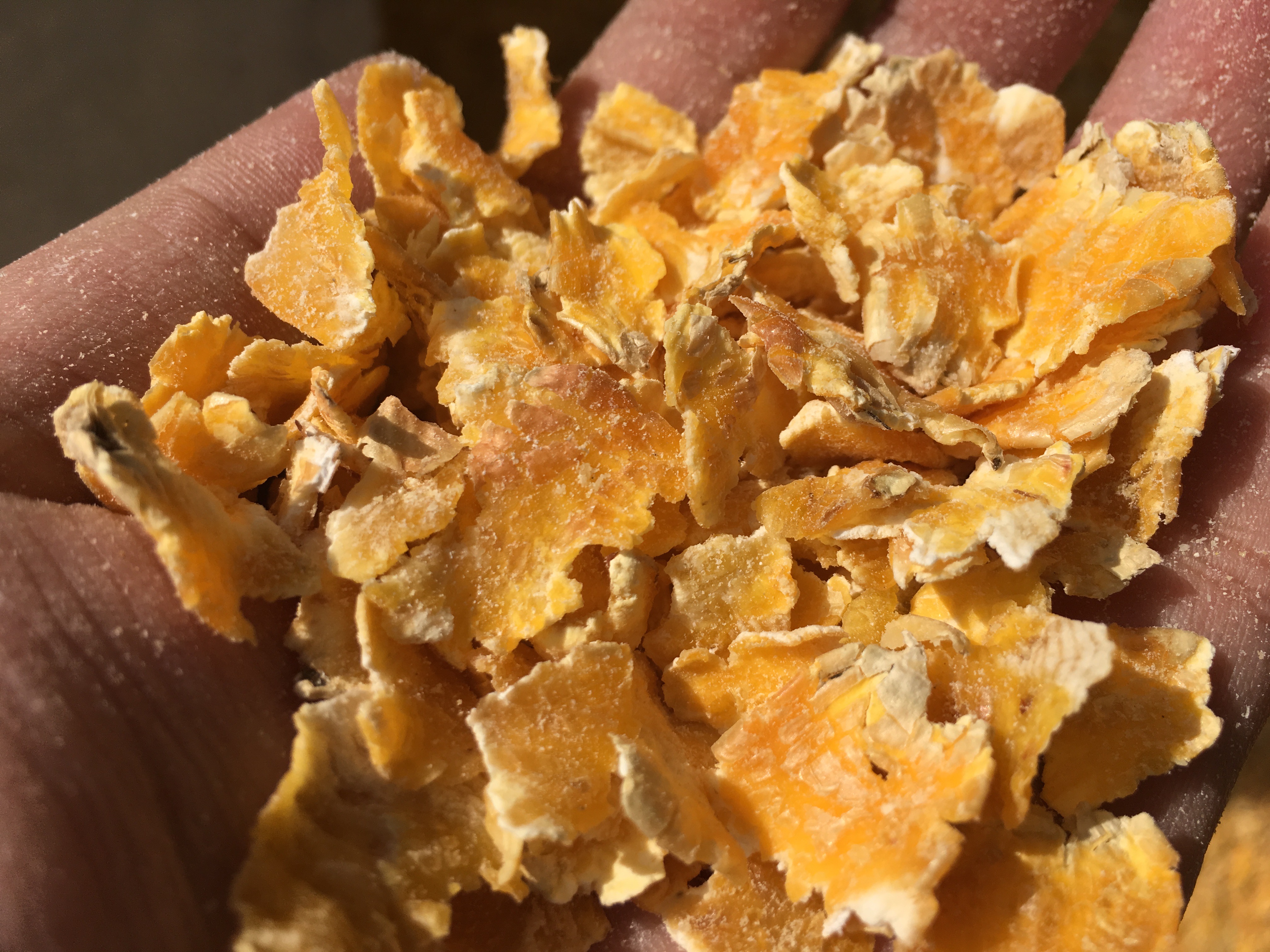 Steam-Flaked Corn Production Line