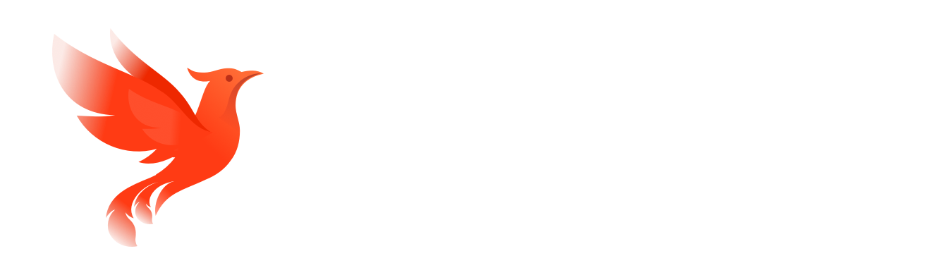 数雀科技